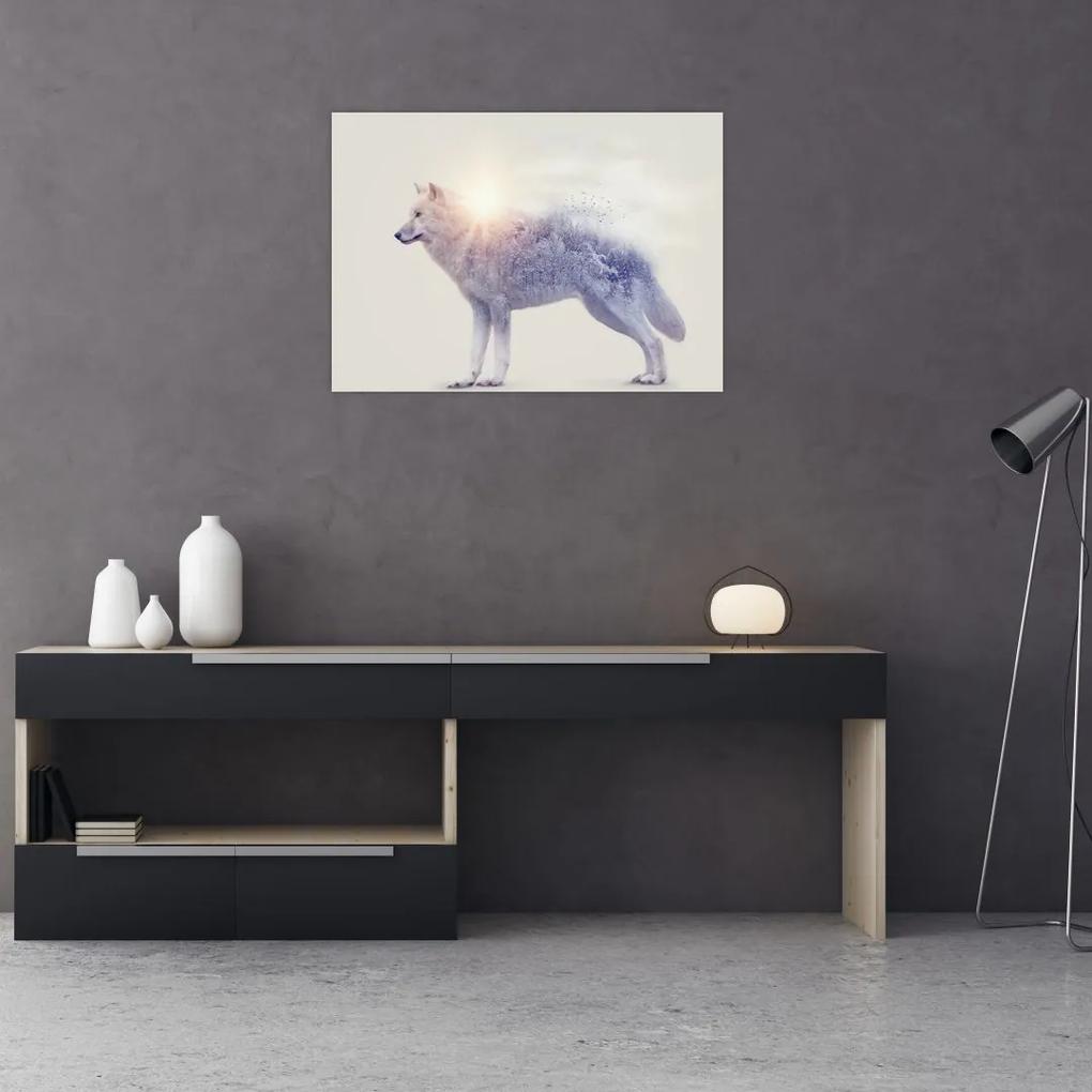 Sklenený obraz - Arktický vlk zrkadliaci divokú krajinu (70x50 cm)