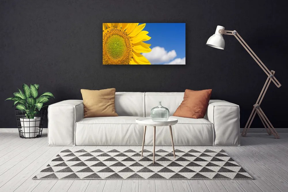 Obraz na plátne Slnečnica mraky 125x50 cm