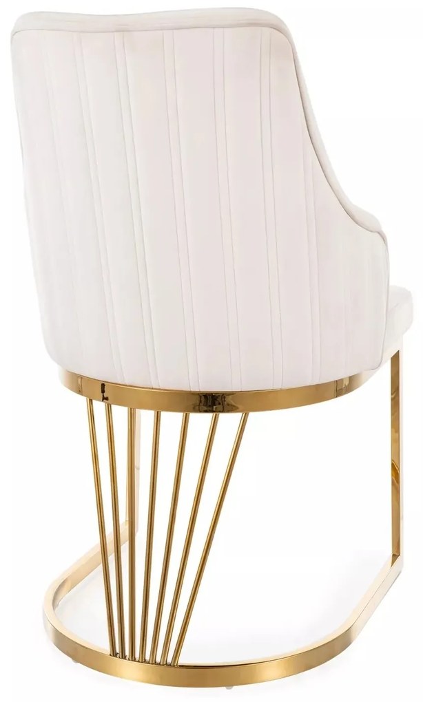 Čalouněná jídelní židle ALURE VELVET béžová