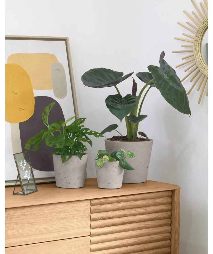 Betónové kvetináče v súprave 3 ks ø 23,5 cm Low – Kave Home