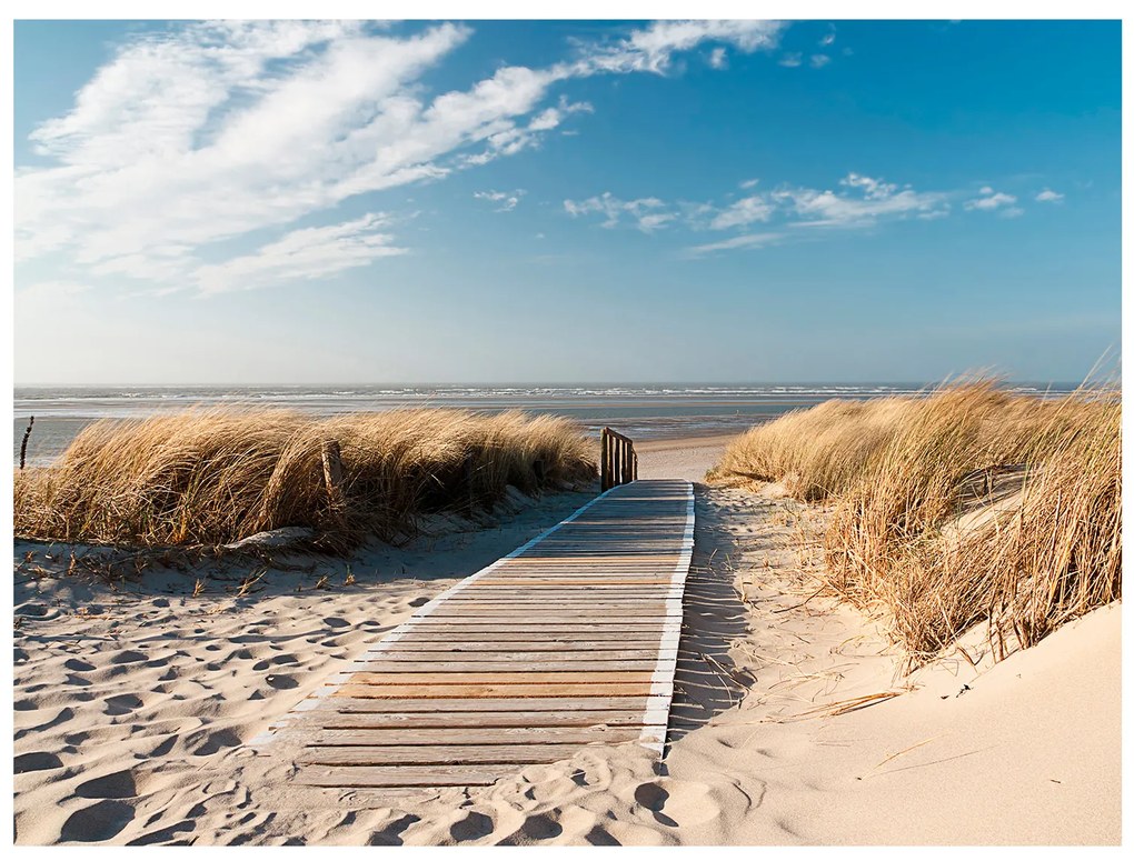 Artgeist Fototapeta - North Sea beach, Langeoog Veľkosť: 196x154, Verzia: Samolepiaca