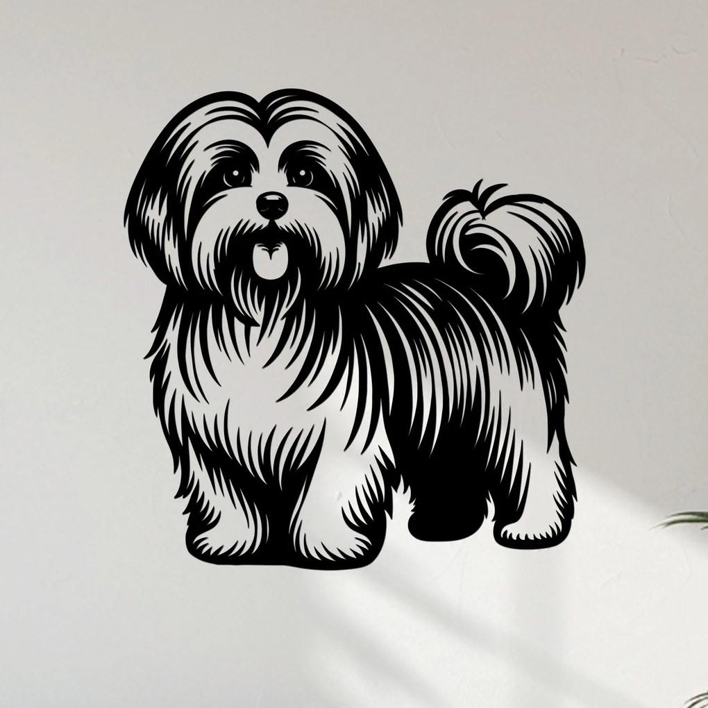 dřevo života Drevený obraz Havanský psík (Havanese) Rozmery - cm: 57x60, Zvoľte farbu dekoru: Dub Sonoma