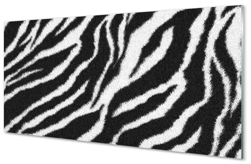 Sklenený obraz zebra fur 120x60 cm