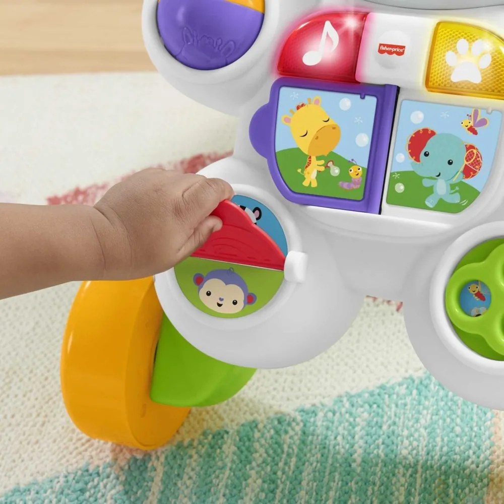 Chodítko Fisher Price Zebra so zvukmi DLD80