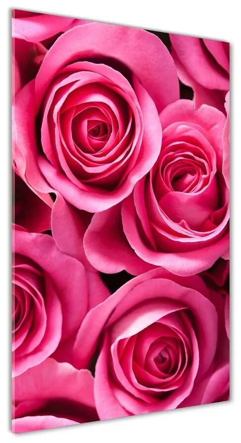 Moderný akrylový fotoobraz Ružové ruže pl-oa-70x140-f-102915574