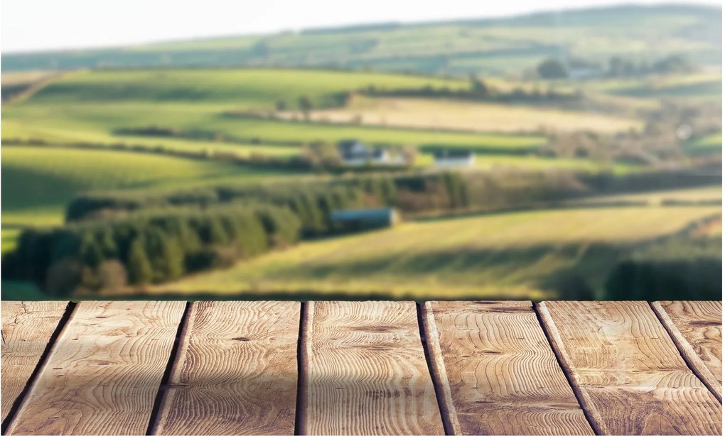 Obraz - Drevená polica s krajinou (90x60 cm)