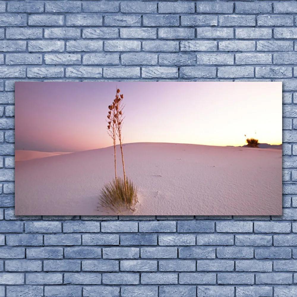 Obraz plexi Púšť písek krajina 120x60 cm