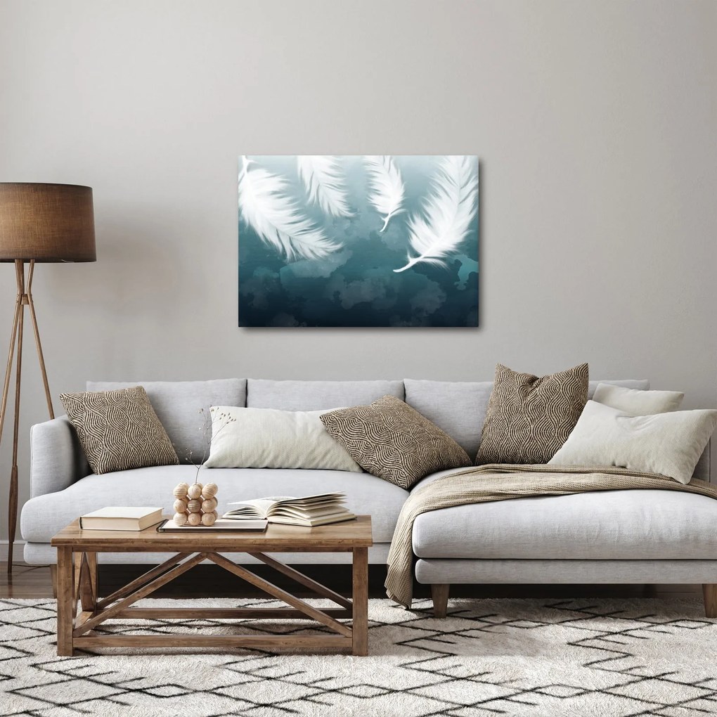 Obraz - Biela pierka (70x50 cm)