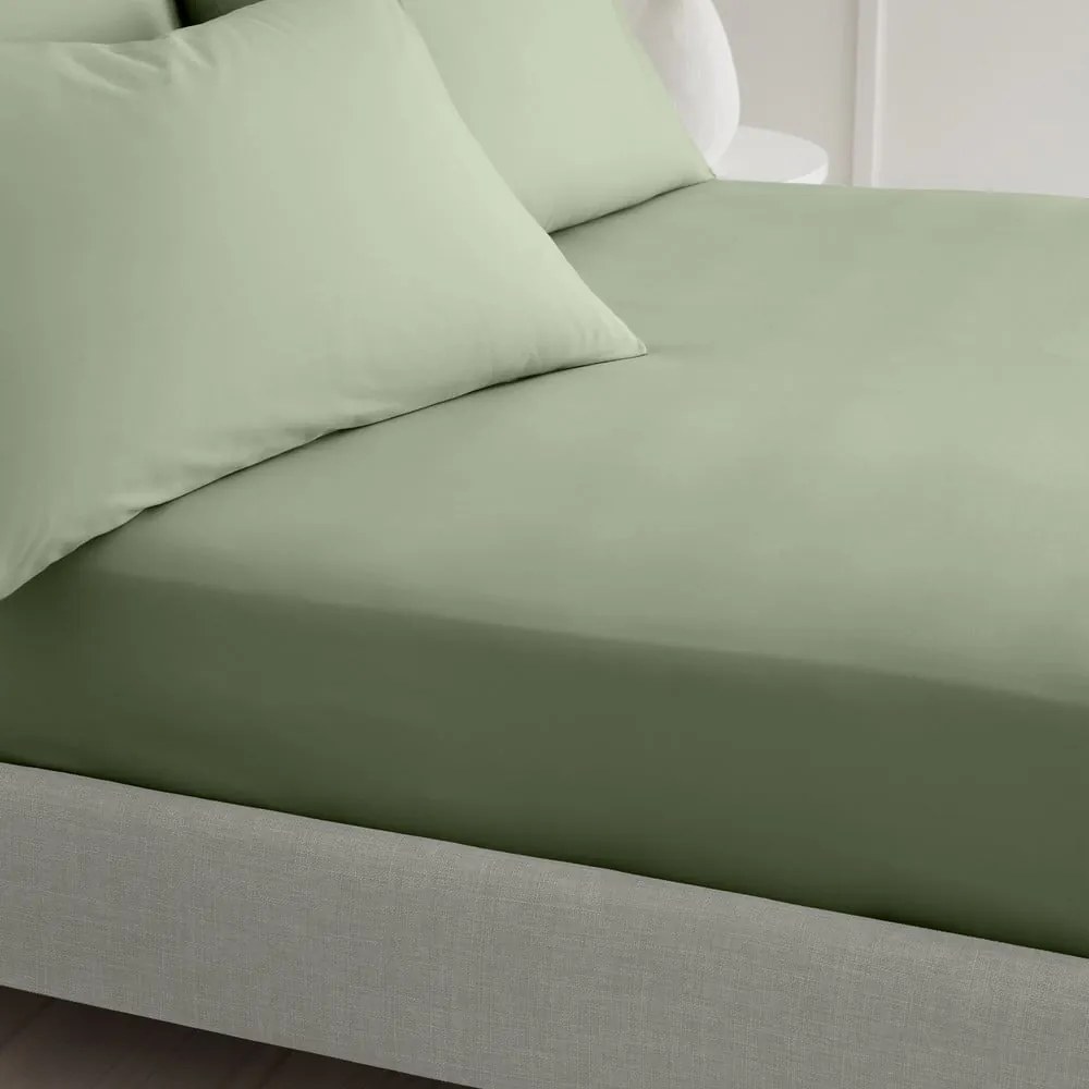 Zelená napínacia plachta z bavlneného perkálu 150x200 cm Cotton Percale – Bianca