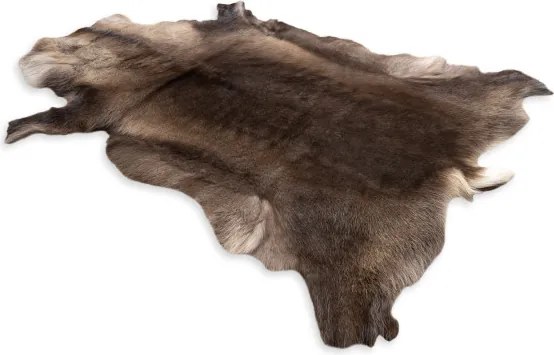 Koberec RENIFER POK010 hnedý