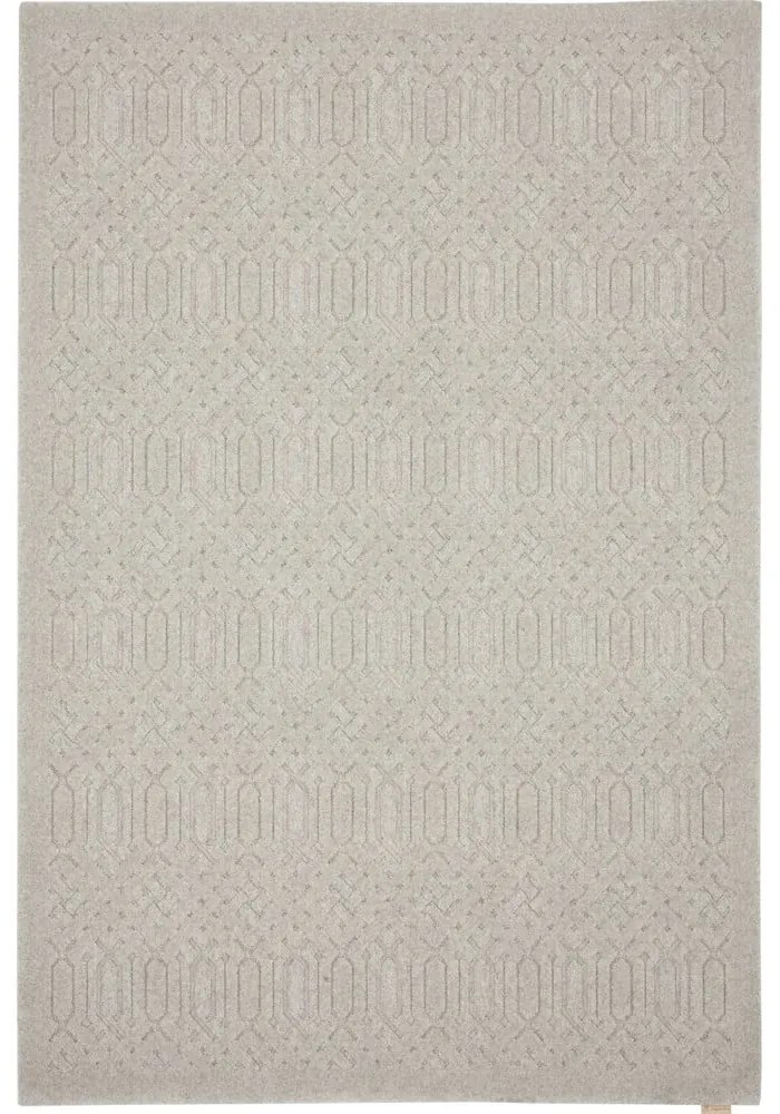 Svetlosivý vlnený koberec 200x300 cm Dive – Agnella
