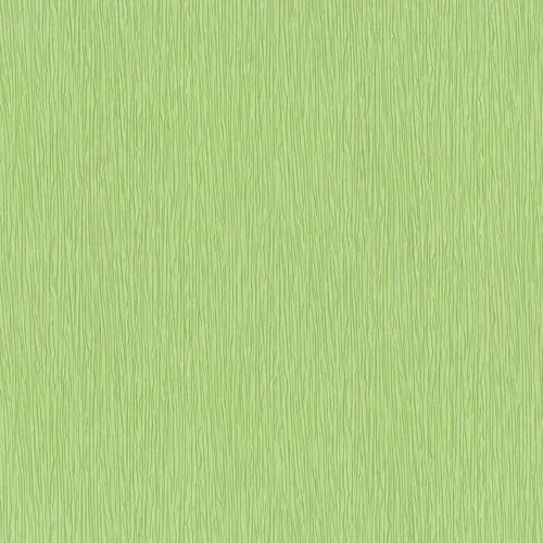Papierové tapety, štruktúrovaná zelená, Dieter Bohlen 553780, P+S International, rozmer 10,05 m x 0,53 m