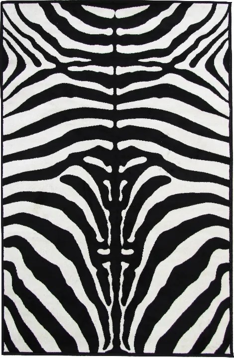 TEMPO KONDELA Arwen koberec 100x140 cm vzor zebra