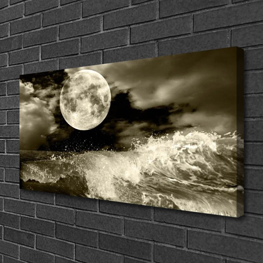 Obraz na plátne Noc mesiac príroda 125x50 cm