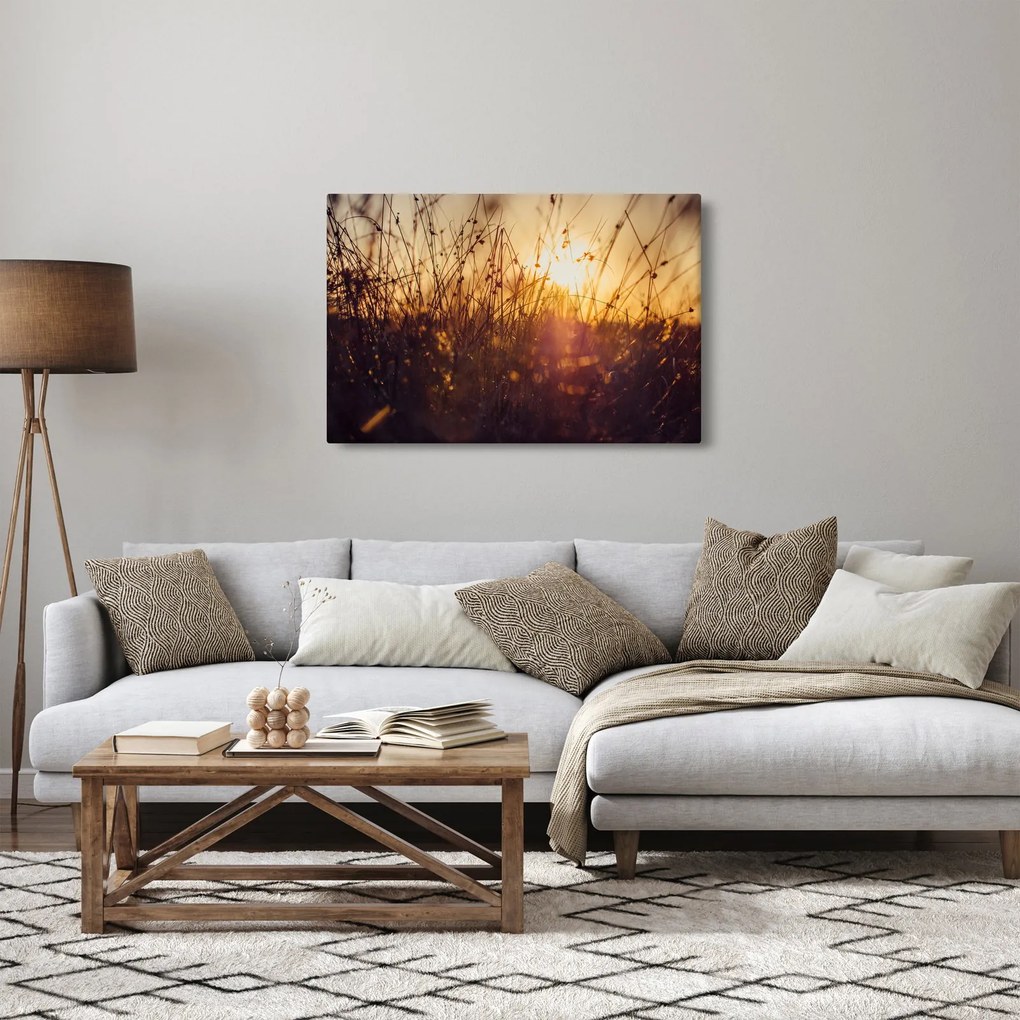 Obraz poľa pri západe slnka (90x60 cm)