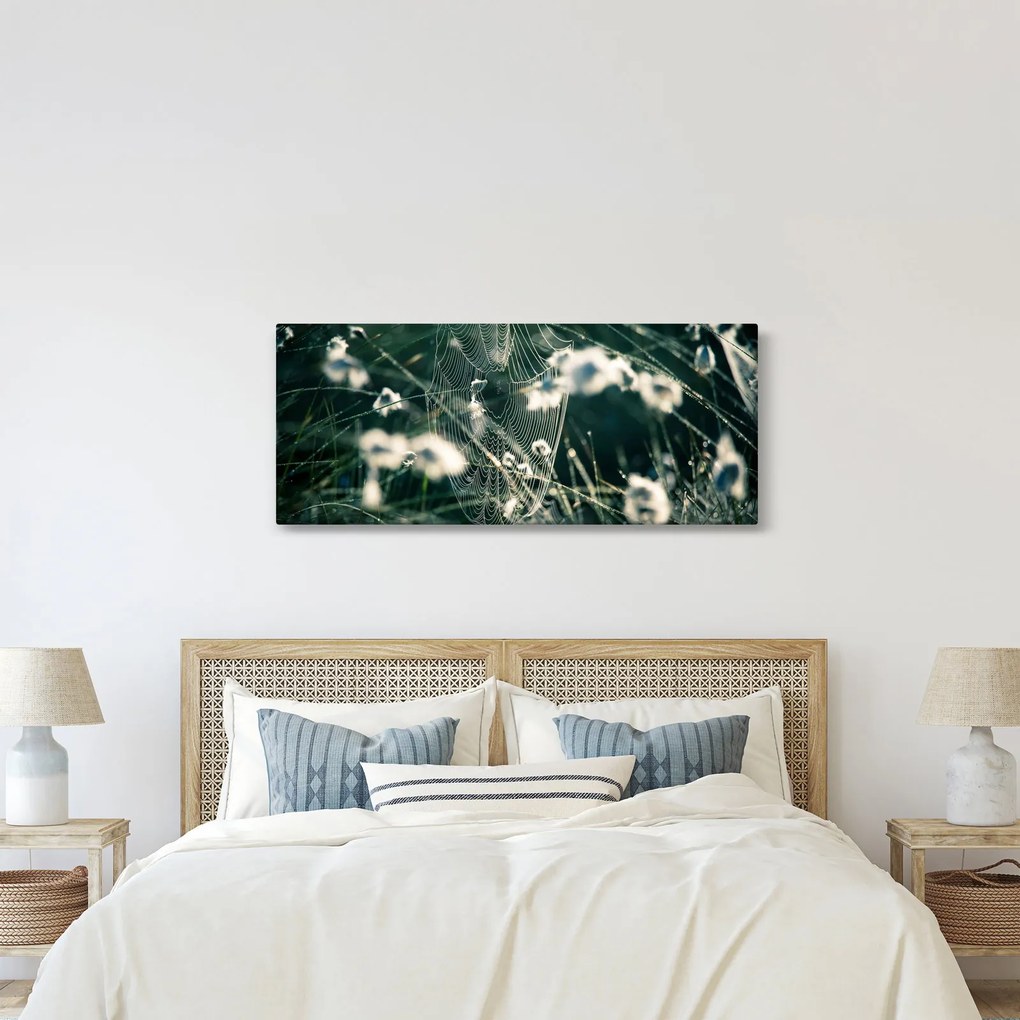 Obraz - Pavučina (120x50 cm)
