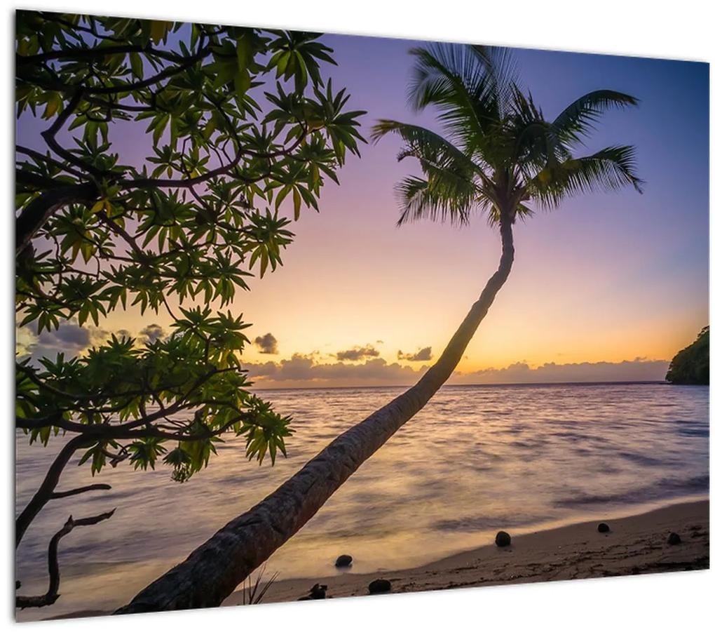 Sklenený obraz palmy na pláži (70x50 cm)