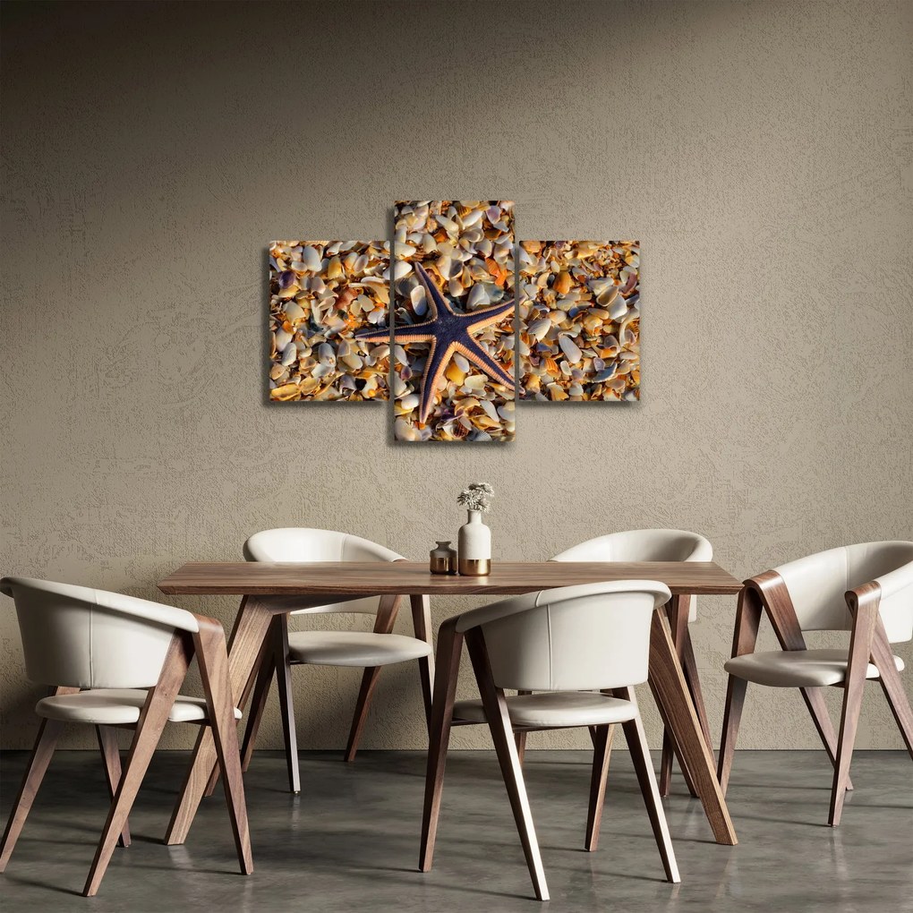 Obraz morskej hviezdice (90x60 cm)