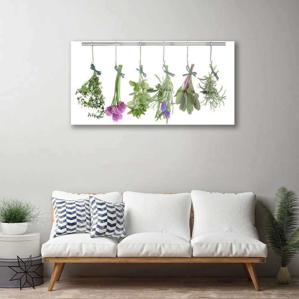 Obraz plexi Plátky rastlina kuchyňa 100x50 cm