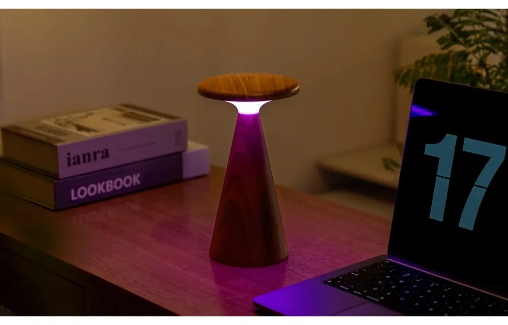 LED stolová lampa v tmavoprírodnej farbe s dreveným tienidlom (výška 21 cm) Sylva – Gingko