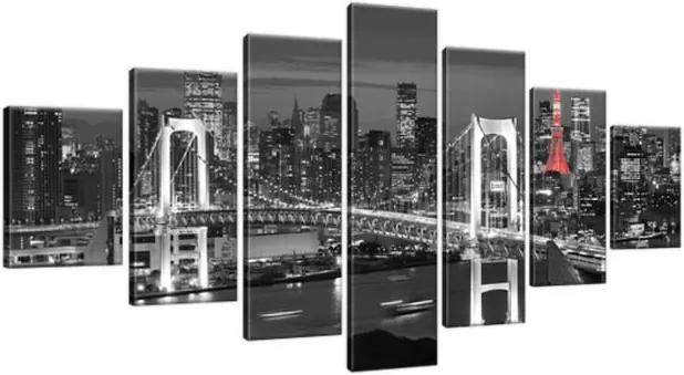 Obraz na plátne Dúhový most Tokio 210x100cm 2390A_7A