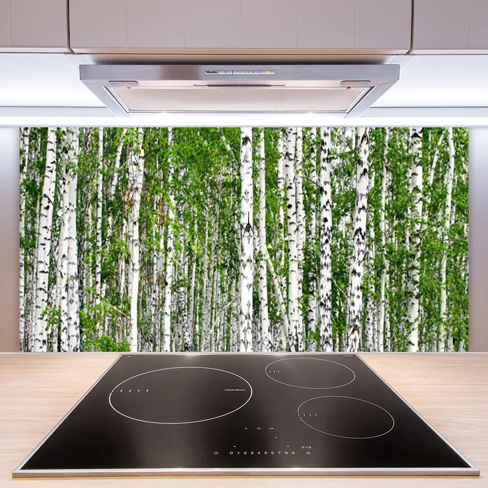 Nástenný panel  Breza les stromy príroda 100x50 cm