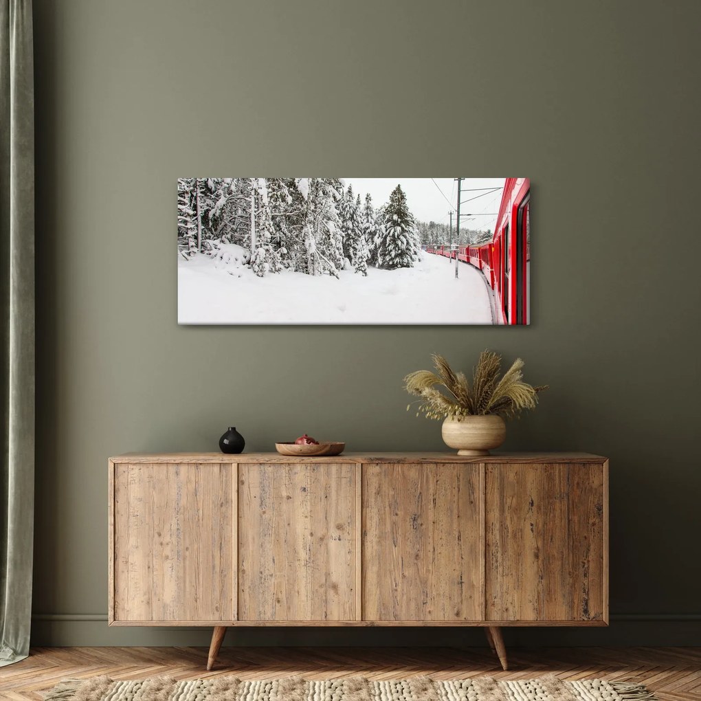 Obraz - Vlak v zasneženej krajine (120x50 cm)