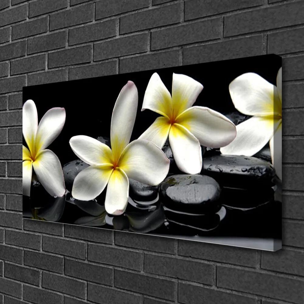Obraz Canvas Kamene kvety kúpele 125x50 cm
