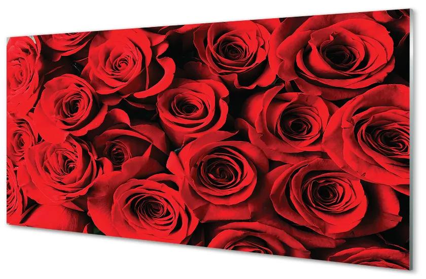 Nástenný panel  ruže 140x70 cm