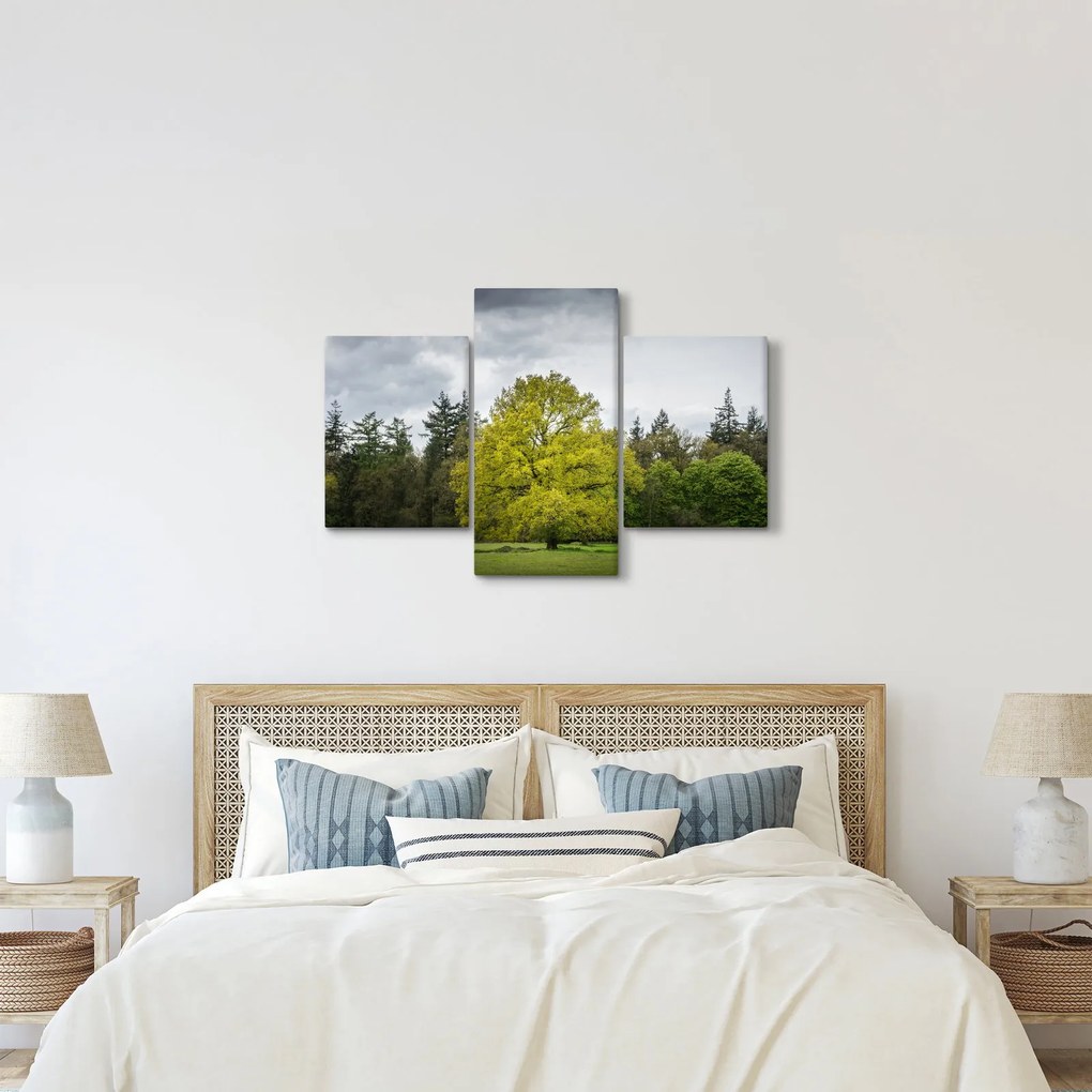 Obraz zeleného stromu uprostred poľa (90x60 cm)