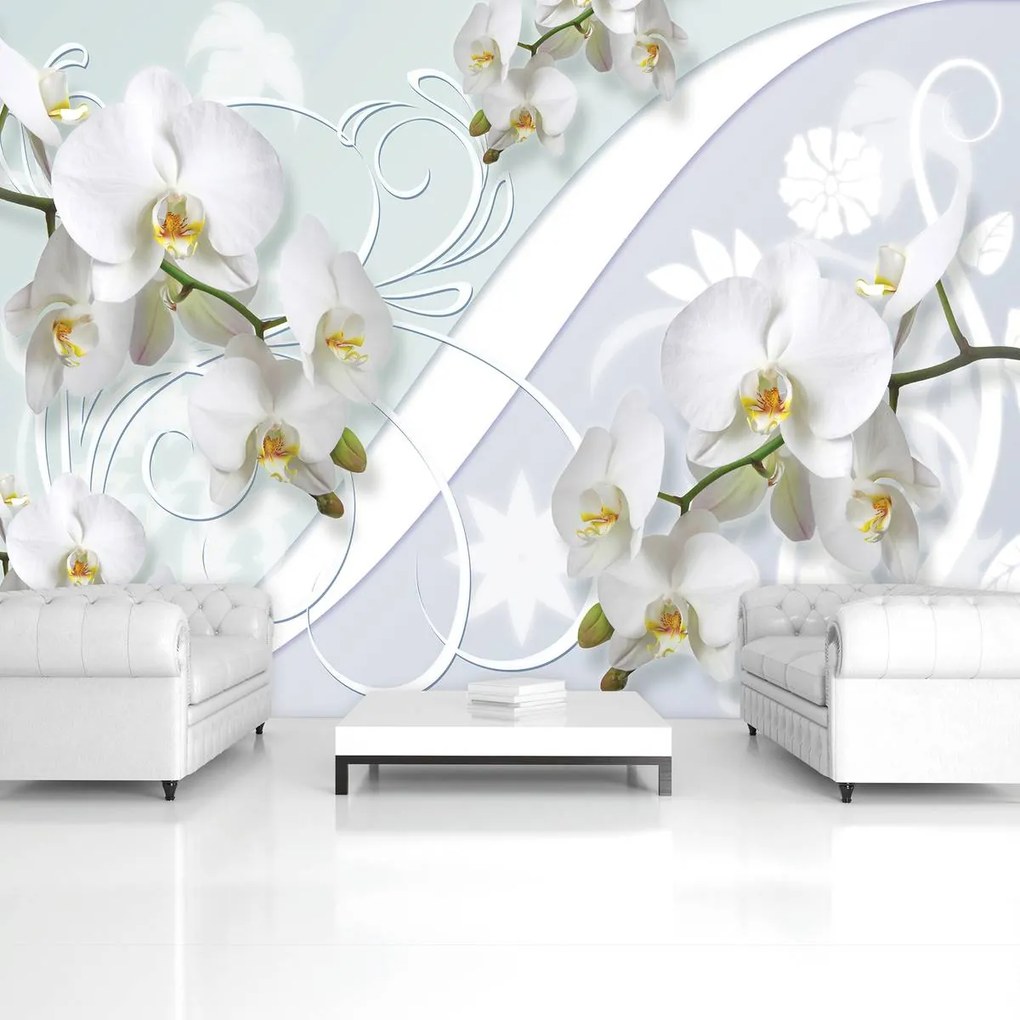 Fototapeta - Orchidea (254x184 cm)