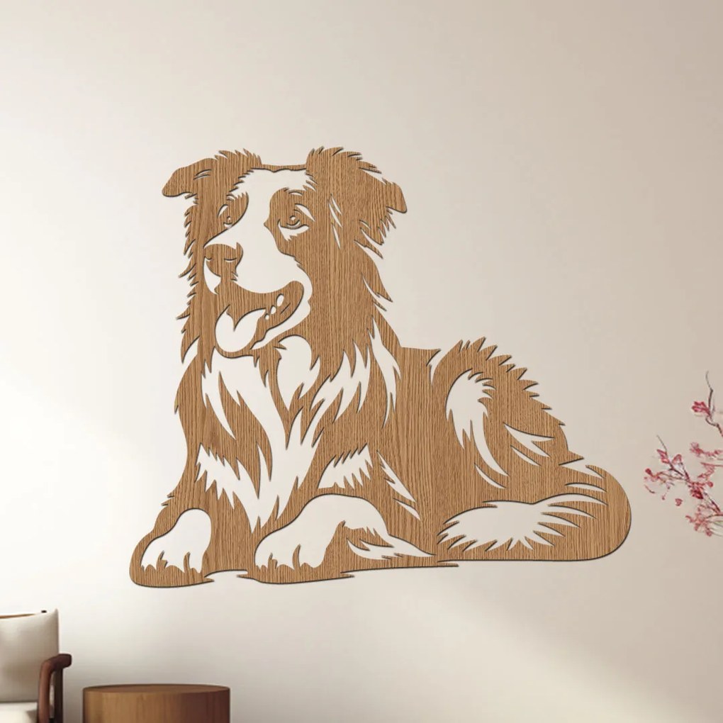 dřevo života Drevený obraz psa BORDER COLLIE Rozmery - cm: 60x51, Zvoľte farbu dekoru: Dub zlatý