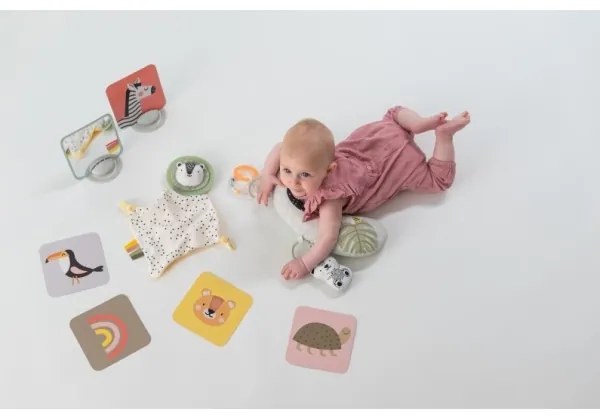 Taf Toys - Darčekový box HELLO BABY