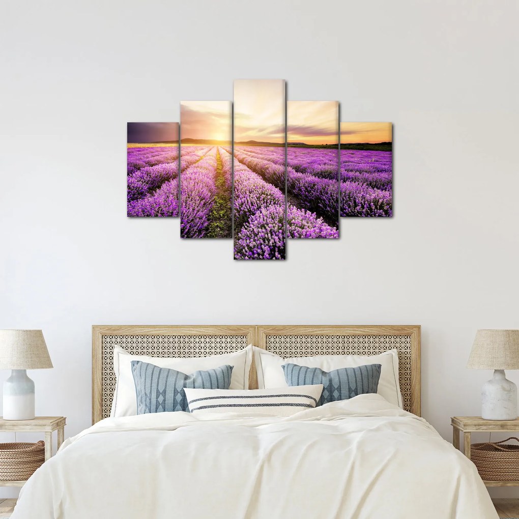 Obraz - Východ slnka v levanduľovom poli (150x105 cm)