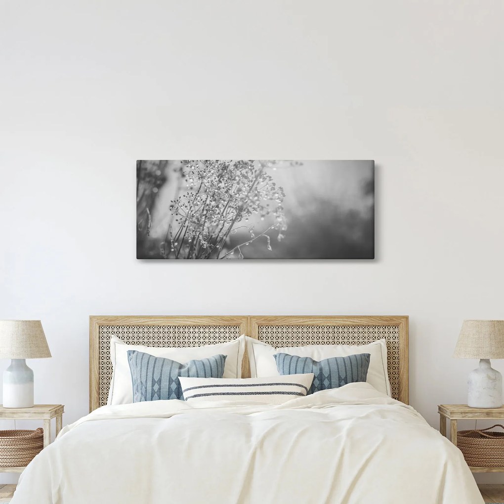 Obraz - Lúka po daždi (120x50 cm)