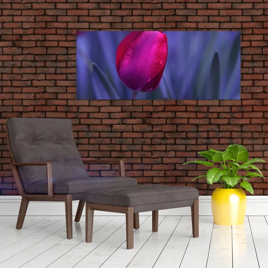Obraz pupete tulipánu (120x50 cm)