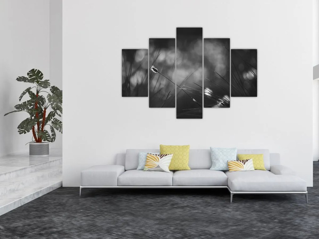 Obraz - Lúčna tráva (150x105 cm)