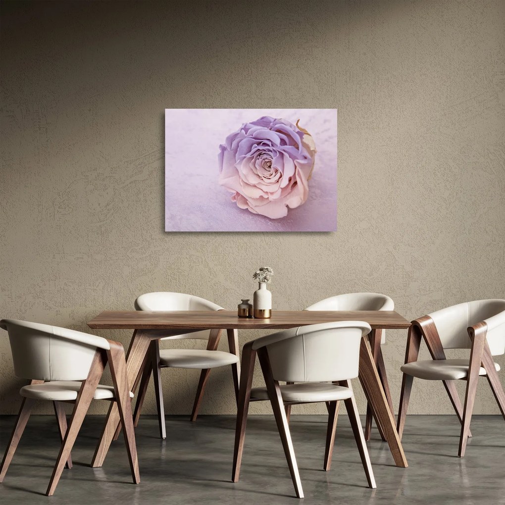 Sklenený obraz detailu kvetu ruže (70x50 cm)