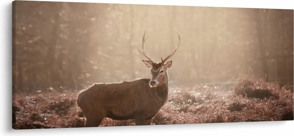 Obraz - Jeleň v lese (120x50 cm)