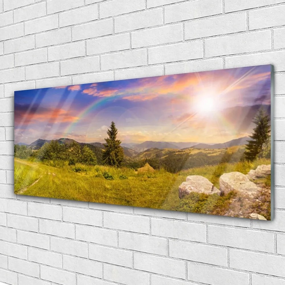 Obraz plexi Hory lúka kamene príroda 125x50 cm