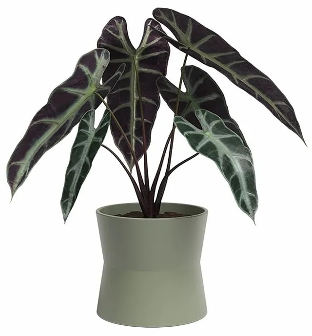 Keramický kvetináč ø 14 cm Diana – Artevasi