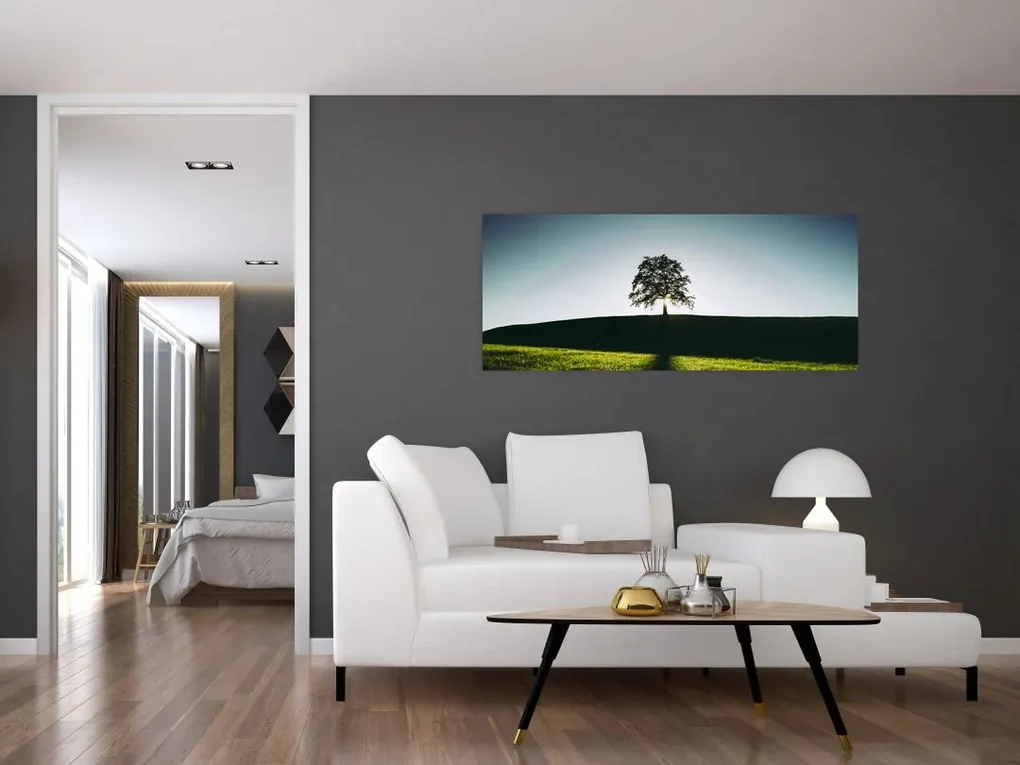 Obraz prírody - strom (120x50 cm)