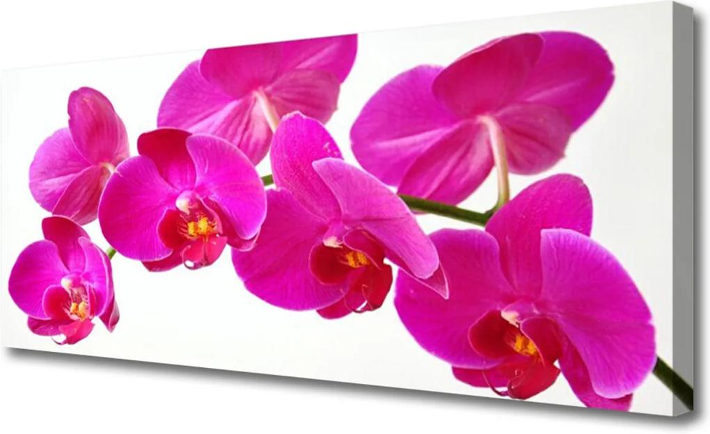 Obraz na plátně Sklenený Kvety Rastlina
