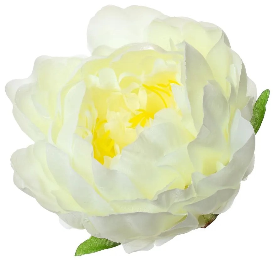 HLAVA PIVOŇKA - BIELA P:10CM