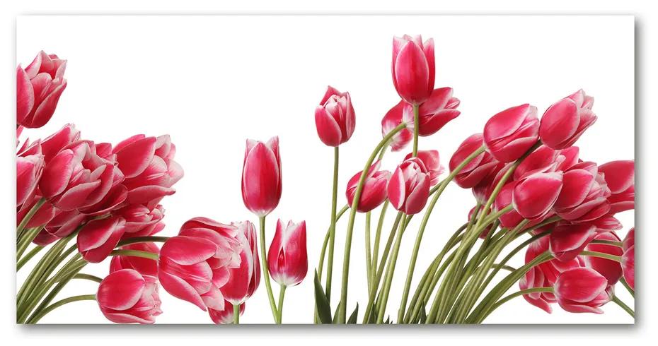 Foto obraz akrylový Červené tulipány pl-oa-140x70-f-109710799