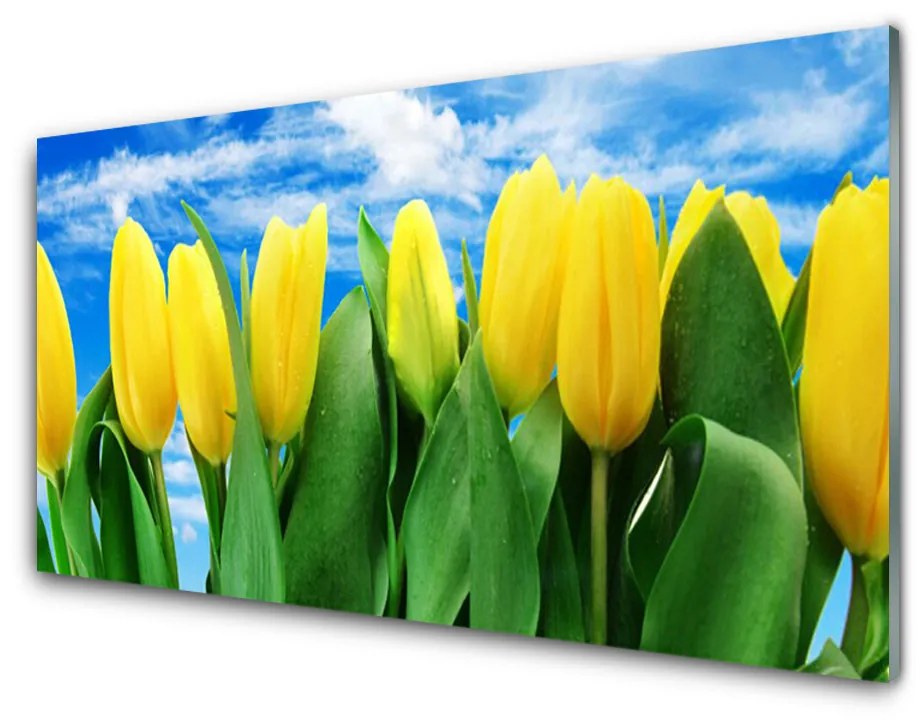 Obraz na skle Tulipány kvety 140x70 cm