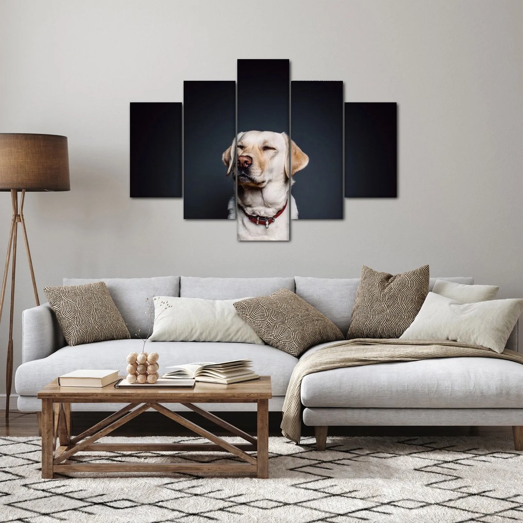 Obraz labradora (150x105 cm)