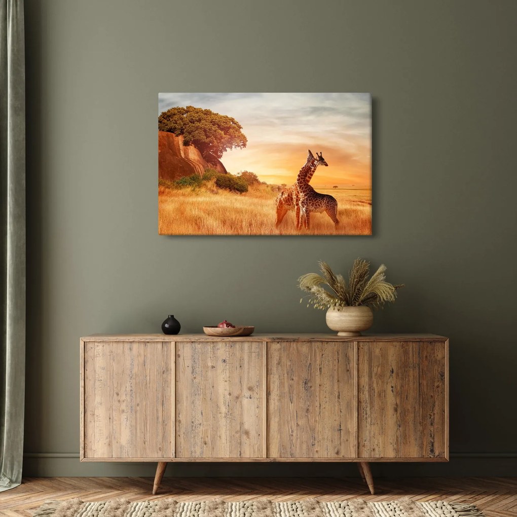 Obraz - Žirafy v Afrike (90x60 cm)