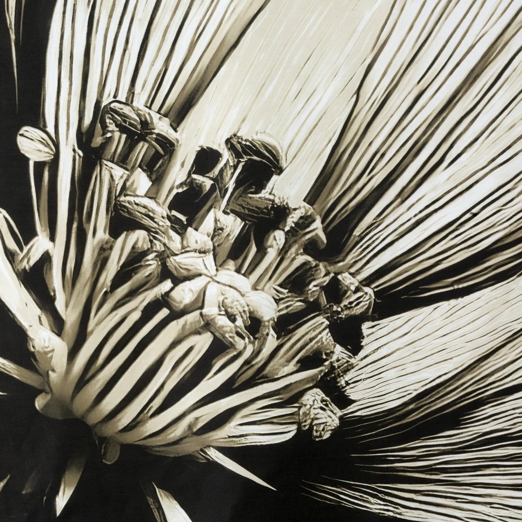 SATÉNOVÉ OBLIEČKY SPRING78 160X200 CM, 2 KS 70X80 CM KVETY