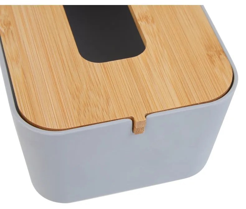 Plastový box na vreckovky Canyon – Premier Housewares